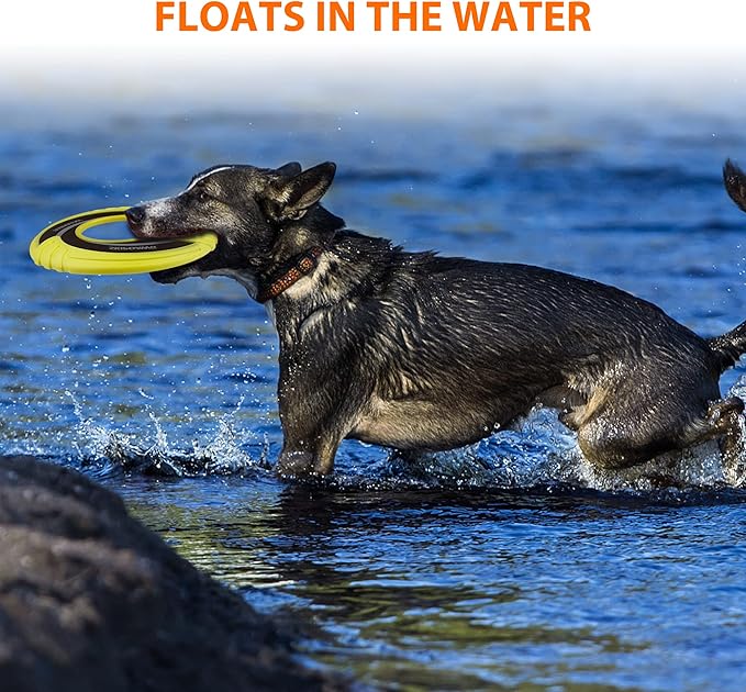 SKIPDAWG Interactive Tug Toy, Flying Disc Water Toy Non-Toxic Light TPR/Nylon Fabric, Pet Training and Outdoor Exercise Toys for Dogs, Diameter 9 Inches