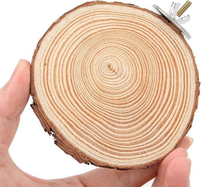 Round Wooden Springboard, Parrot Perches Stand Toy Bird Parrot Perch Bird Cage Accessories for Small Parakeets Cockatiels Hamster(10cm)