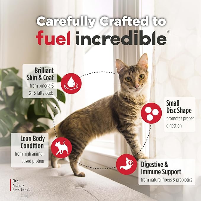 Nulo Freestyle Cat & Kitten Dry Food - Chicken & Cod Recipe, High Protein Grain Free Cat Food, Natural Kibble with Probiotics & Omega Fatty Acids, 2lb Bag