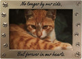 Pet Memorial Picture Frame Keepsake For Dog or Cat, Perfect Loss Of Pet Gift For Remembrance And Healing