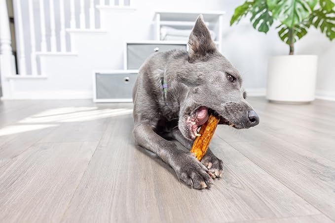 Wild Eats Salmon Flavor Collagen Retriever Style Cheek Roll 5" Dog Chews-4 Pack (Long Lasting Dog Chews Treats & Bones for Medium Dogs) Substitute for Pig Ears for Dogs
