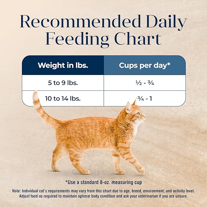 Blue Buffalo Basics Grain-Free Dry Cat Food, Skin & Stomach Care, Limited Ingredient Diet for Indoor Cats, Whitefish & Potato Recipe, 5-lb. Bag