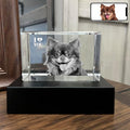 Dog Memorial Gifts for Pet Loss – Personalized Crystal Photo for Dogs & Cats, Custom Laser Etched Crystal (Small Landscape)