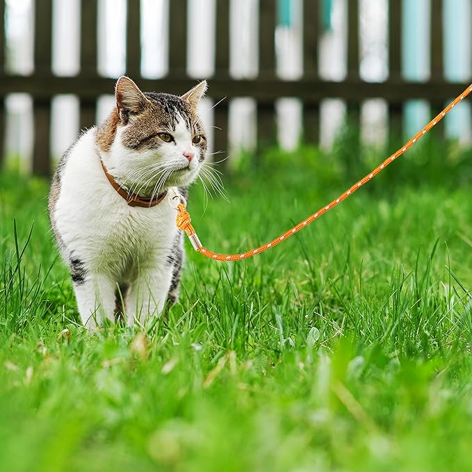 Reflective Cat Leash, 15ft Escape Proof Walking Lead Yard Long Leash, Extender Leash Training Playing Outdoor for Cats Puppy Kitten Small Dogs Rabbit Small Animals
