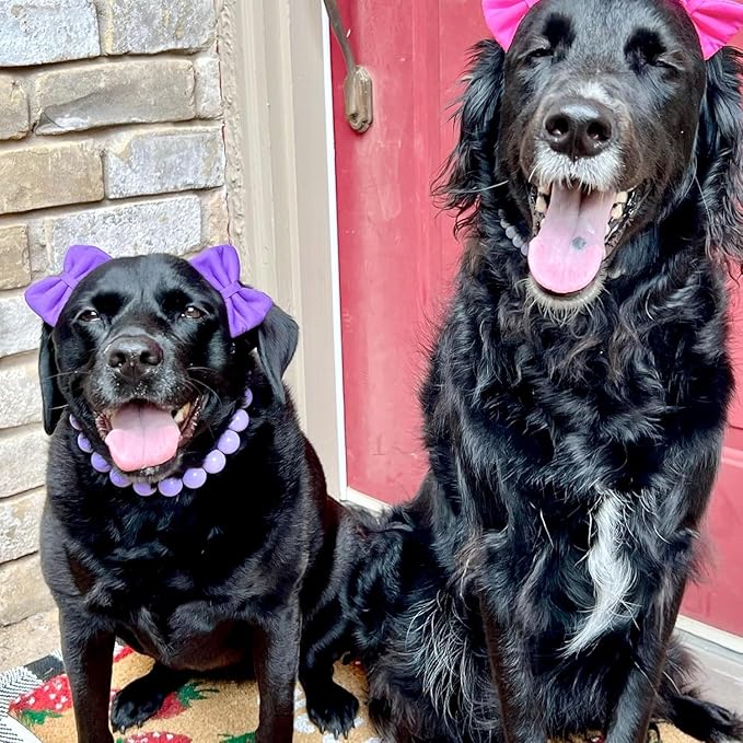 Dog Hair Double Bow Headbands 3 Pcs – Bow Headband for Dogs, Dog Hair Bow,Classic Dog Hair Bows, Adjustable Headband, Puppy Bow, Pet Hair Bow, Dog Grooming Accessory