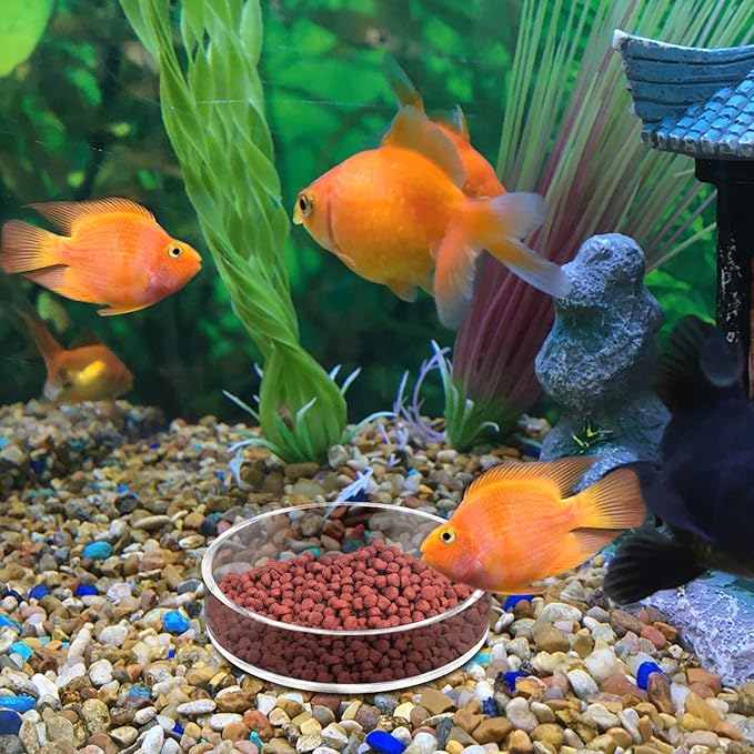 Aquarium Shrimp Feeder Dish Round Clear Fish Tank Feeding Dish Bowls (85mm)