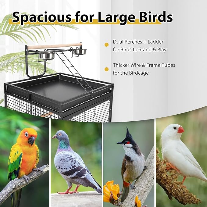 Heavy-Duty 68'' Wrought Iron Parrot Cage – Acrylic Door, 360° Rolling Stand, Perches, Stainless Steel Bowls, Escape-Proof, Easy Clean – Spacious Aviary for Macaws, Cockatoos, African Greys,