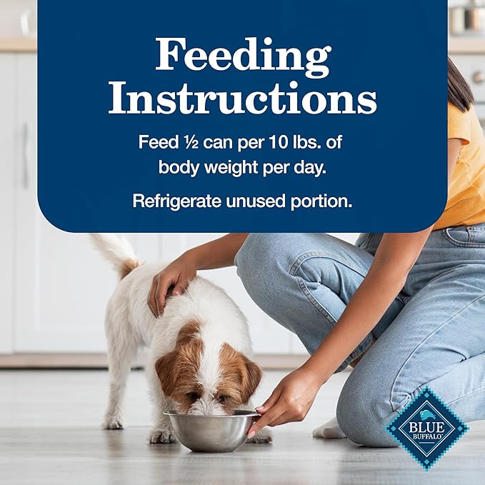 Blue Buffalo Homestyle Recipe Senior Wet Dog Food, Made with Natural Ingredients, Beef Dinner with Garden Vegetables, 12 Pack
