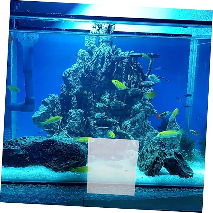 Toyvian Portable Fish Observation Container for Small Tanks Breeding Box Suction Cups for Betta Aquariums and Shrimp Home Fish Breeding Supply