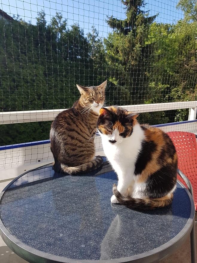 Cat Netting Balcony 10 * 26ft Pet Mesh Fence for Balcony Black Nylon Balcony Netting for Pets Anti-Fall Cat Net for Balcony and Windows