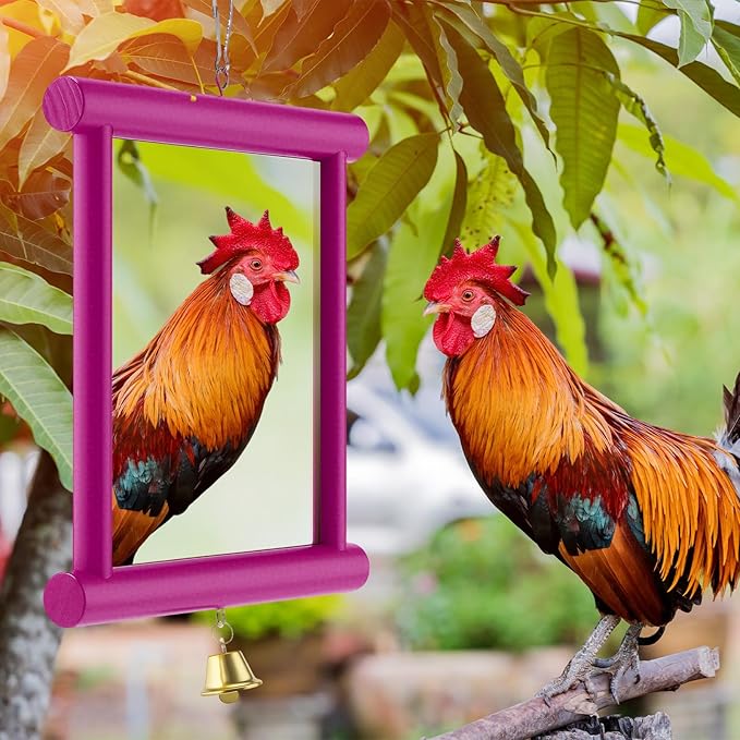 Sadnyy 1 Pcs Chicken Mirror Toys Extra Large 10.6 x 10 Inch Big Hanging Swing Mirror with Bell Wooden Pecking Toy for Hens Birds Parrots Coop Roosters (Square,Rose Red)