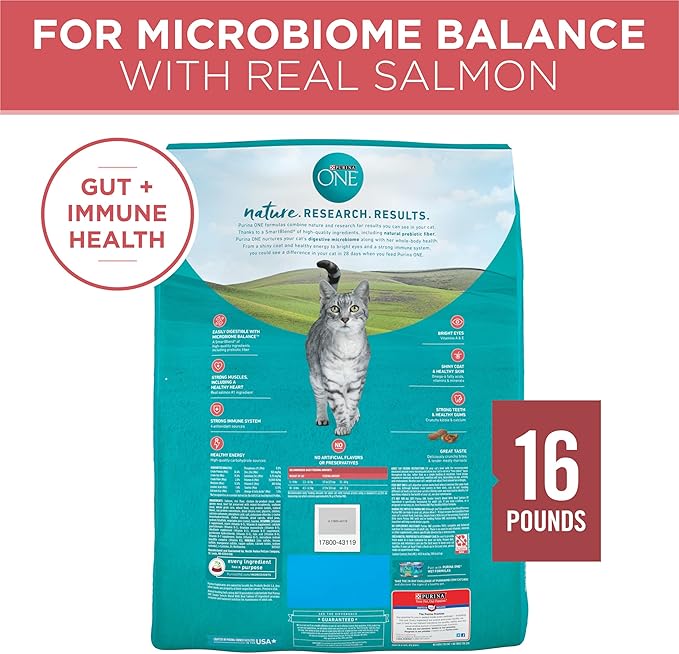 Purina ONE Natural Dry Cat Food, Tender Selects Blend With Real Salmon - 16 lb. Bag