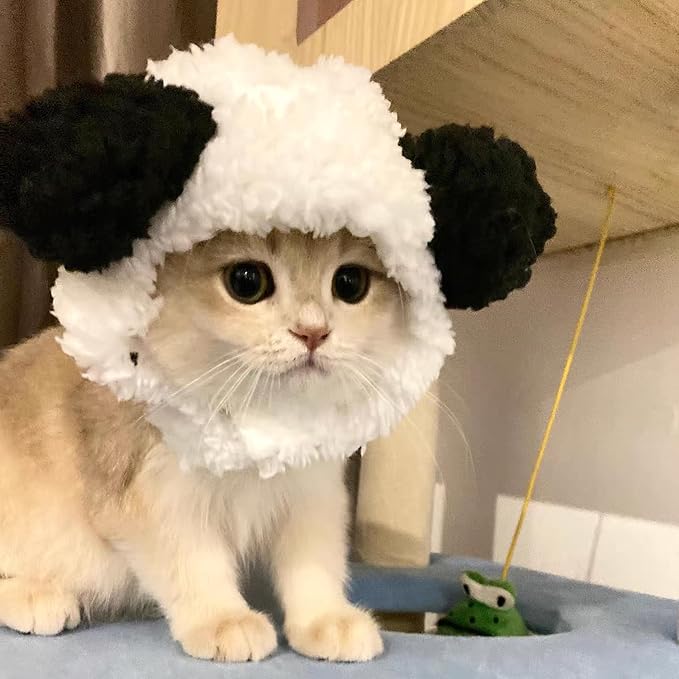 Cat/Dog Costume for Halloween, Parties and Pictures (Panda)