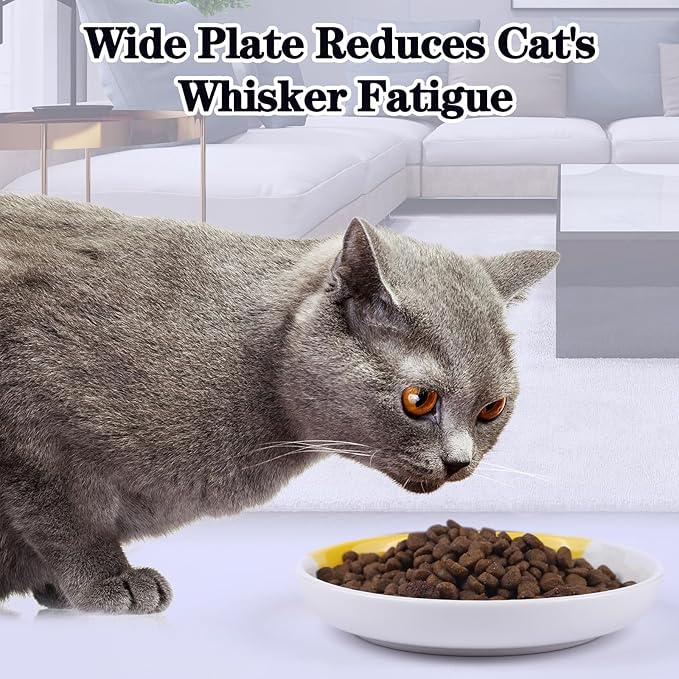 Cat Food Dishes Set, Healthy Ceramic Pet Food and Water Bowl for Indoor Cat, Puppies, Anti Whiskers Fatigue, Shallow Bowls for Wet Food Plate, Dishwasher Safe, 5 Pcak