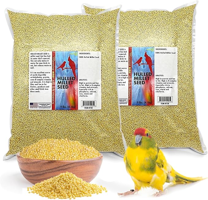 Morning Bird Hulled Millet 18 lbs (2-Pack, 9 lbs Each) – Nutritious Hulled Millet Seed - Easily Digestible with High Fiber, Rich in Vitamins & Minerals for Birds, Ideal Bird Feed for All Bird Types
