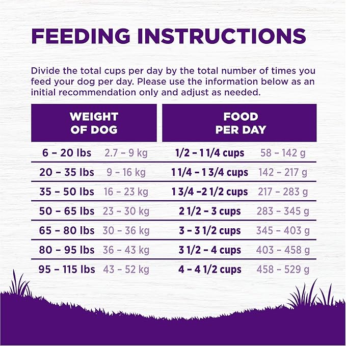 Wellness Complete Health Age Advantage Senior Dry Dog Food, Wholesome Grain Kibble, Natural, Chicken and Barley Recipe, 5 lb Bag