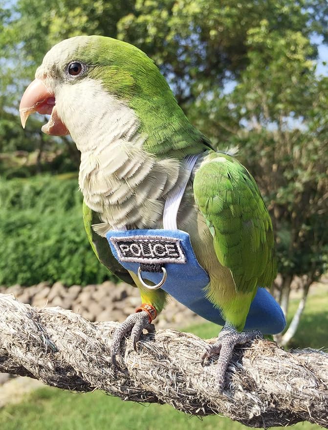 Poli(L) Bird Flight Suits & Diapers - Reusable, Waterproof Pet Bird Supplies