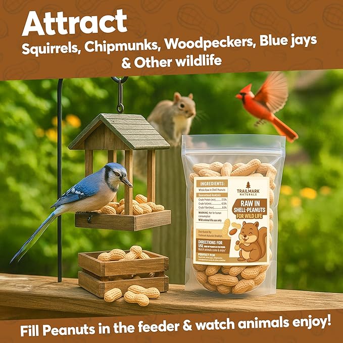 2 LB - Raw Peanuts For Squirrels, Raw In Shell Peanuts For Birds and Wildlife- Squirrel Food, Wild Bird Seed - Grown in The USA
