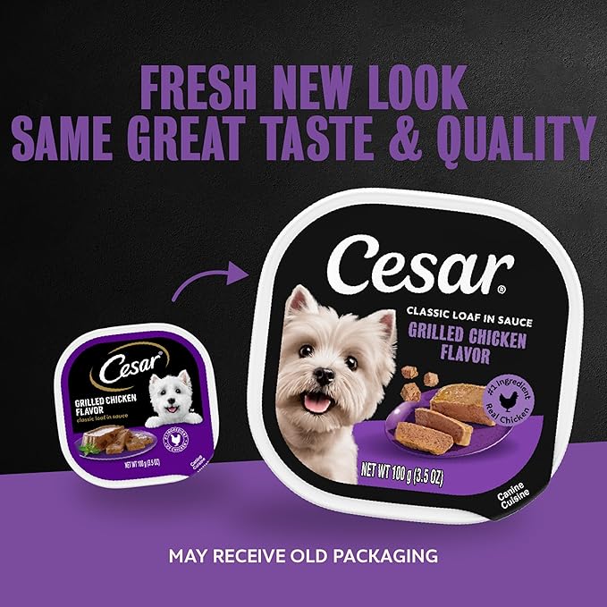 Cesar Classic Loaf in Sauce Adult Wet Dog Food Grilled Chicken Flavor, 3.5 oz. Easy Peel Trays, 24 Count (Pack of 1)