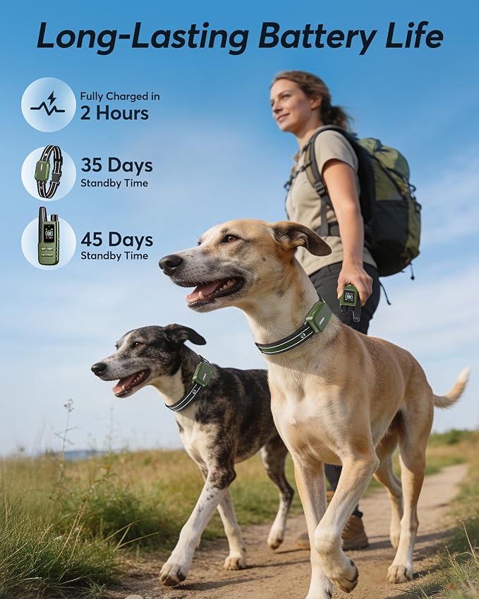 Jugbow Dog Shock Collar - 4200FT Dog Training Collar with Remote, IPX8 Waterproof Electric Dog Collar with 4 Training Modes, Security Lock, Rechargeable eCollar for 10-120lbs Dogs(Green 2 Pack)