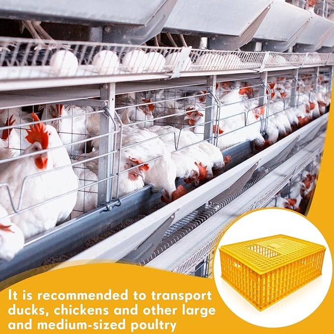 Sintuff Poultry Carrier Crate Plastic Chicken Transport Cage Bird Carriers Chickens Carrier Travel Crate Basket Box for Poultry Chicken Bird Duck Goose, 29.5 x 21.7 x 11.6 Inch(6 Pcs)