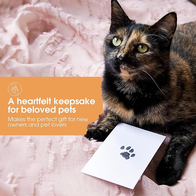 Pearhead Paw Print Clean Touch Ink Pad Kit for Dogs and Cats, Pet Owner Keepsake, DIY Inkless Paw and Nose Print Impression Set, Small/Medium