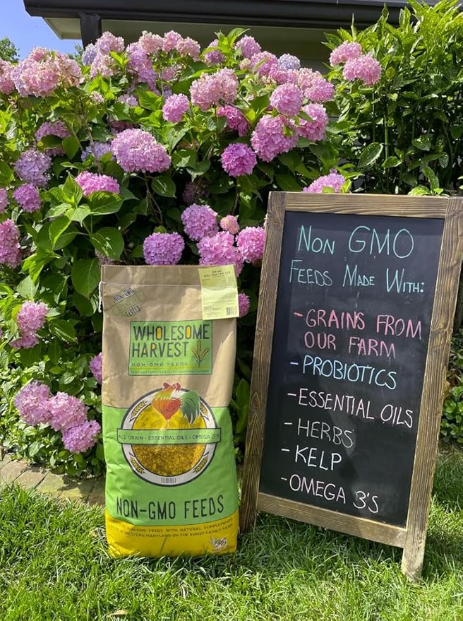 Non-GMO Soy and Corn Free Whole Grain Layer Blend 16% - Chicken Feed for Laying Hens and Ducks - Includes Essential Oils, Herbs, Oyster Shells, Vital Minerals, and Omega 3, 10 lb
