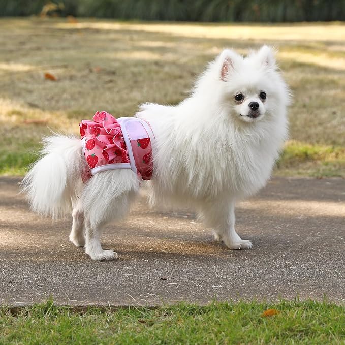 Dog Diapers Female Washable (3 Pack), Reusable Dog Period Diapers Female Doggie Diapers Puppy Diapers Female Dog Diapers for Heat, Incontinence, Excitable Urination,M