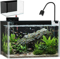 10 Gallon Hot-Bent Black-Back Fish Tank, Aquarium Fish Tank,Easy to Maintain Small Aquarium for Betta/Goldfish/Snails/Shrimp and Aquatic Planting, Perfect for Home, Office, and Decor