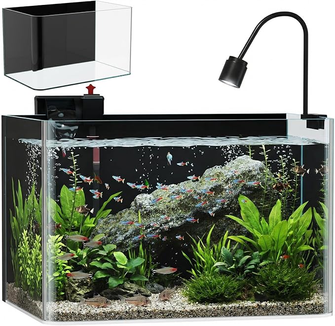 6 Gallon Hot-Bent Black-Back Fish Tank, Aquarium Fish Tank,Easy to Maintain Small Aquarium for Betta/Goldfish/Snails/Shrimp and Aquatic Planting, Perfect for Home, Office, and Decor