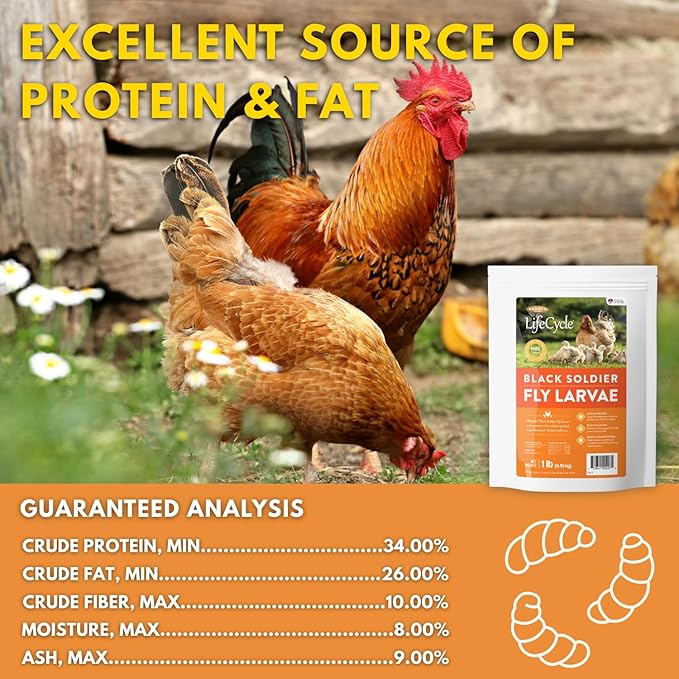 Black Soldier Fly Larvae Chicken Treats, Mealworms Alternative, Grubs for Chickens, High Calcium for Laying Hens, Made in USA, 1 lbs