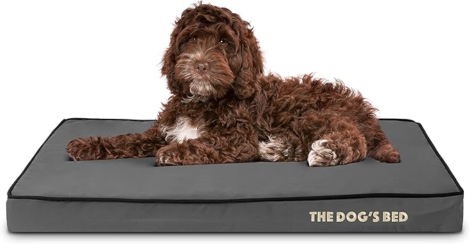 The Dog’s Bed Orthopedic Memory Foam Dog Bed Mattress, Oxford Fabric, Grey with Black Trim, Medium, 3-Inch