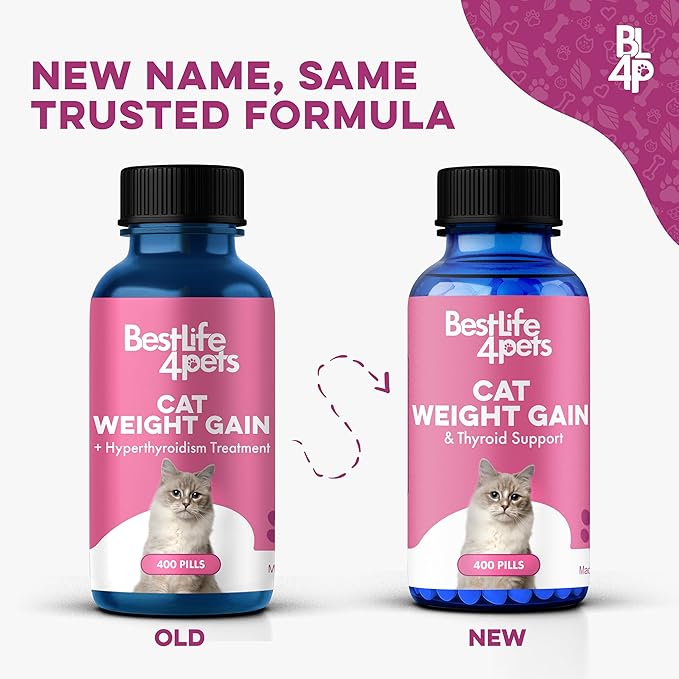 Cat Weight Gainer & Thyroid Support – Natural Appetite Stimulant for Cats, Underweight Kittens or Senior Cats Showing Restlessness and Poor Coat – 400 Odorless Pills Help Improve Daily Eating