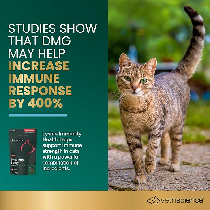 VetriScience Lysine Immunity Health Chews, 250 mg Lysine Plus Immune Supplement for Cats and Kittens with Allergies, Sneezing, Runny Nose and Watery Eyes, Chicken, 120 Count (Pack of 2)