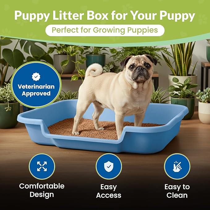 Dog Litter Box, Blue Color, Large Size, Durable & Pet Safe Puppy Litter Box, Indoor Open Top Entry Dog Litter Pan, Comfortable for Dogs, Great for Dogs up to 20 lbs (2 Pack)