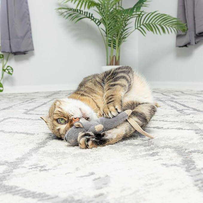 SPOT Flat Mouse Frankie with Catnip - Cat Toy, Fuzzy Mice with Catnip and Crinkle Sound, Perfect Size for Pouncing on, Chasing, Hunting - 5.5in Plush Toys, Assorted Colors (Pack of 2)