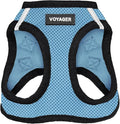 Best Pet Supplies Voyager Step-in Air Harness - All Weather Mesh, Reflective, No Pull Harness for Dogs, Cats - Secure with Hook & Loop Fastener, Buckle, Double D-Rings - Baby Blue/Black Trim, XS