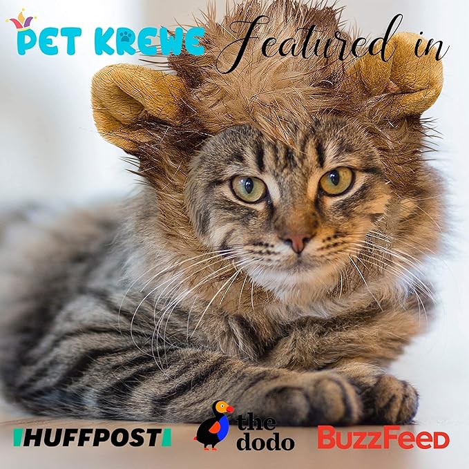 Pet Krewe Lion Mane Halloween Costume for Large and Small Dogs - Ideal for Halloween, Birthday, Cosplay, Outfits, Pet Clothes (Cat Small)
