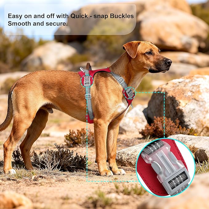 No Pull Dog Harness – Adjustable Reflective Nylon Vest for Small Medium Large Dogs, Escape Proof Training Harness with Leather Control Handle, Lightweight Aluminum Hardware (Red, XL)