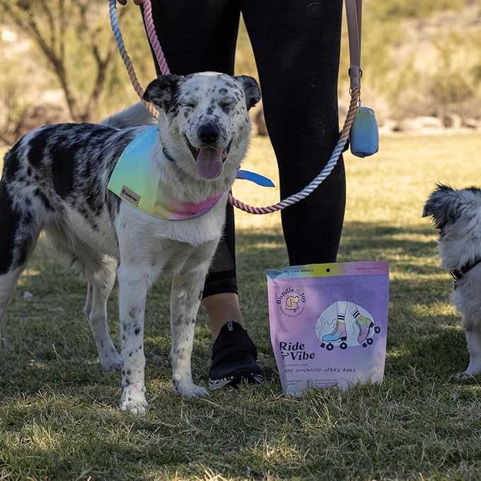 Bundle x Joy Ride & Vibe Salmon Jerky for Dogs - 2 Lbs Bag, Natural Superfood - Corn, Poultry, Soy & Grain Free Salmon Dog Treats Made in USA Only