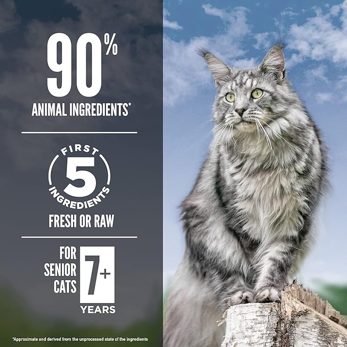 ORIJEN Guardian Senior Grain Free High Protein Premium Dry Cat Food 10lb Bag