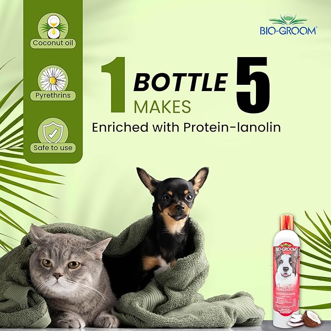 Bio-Groom Flea & Tick Dog Shampoo - Flea and Tick Prevention for Dogs, Cat Flea Treatment, Cruelty-Free, Made in USA, Natural Tick Repellent, Protein-Lanolin Shampoo - 12 fl oz 1-Pack