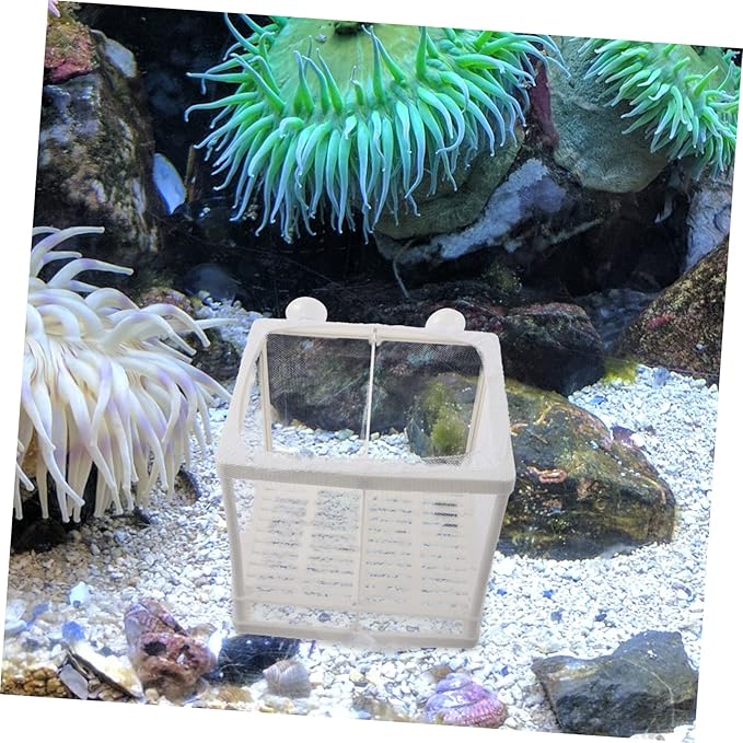 Yardwe 2pcs Fish Breeding Isolation Box Transparent Plastic Hatching Tank Suction Cups for Betta and Guppy Fry Lightweight and Easy to Install Fish Tank Divider