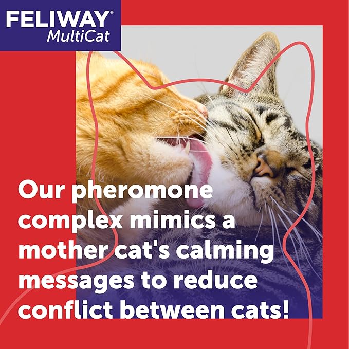 FELIWAY® MultiCat 6 x 30 Day Cat Calming Refills for Pheromone Diffuser, 6 x 48ml Value Pack- Helps Reduce Conflicts and Signs of Tension in Multi-Cat Households