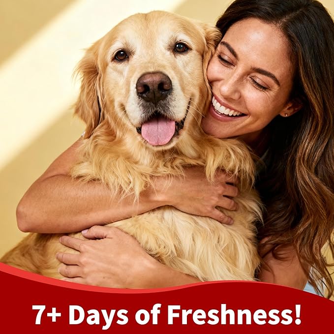 Arf Arf Dog Shampoo Whitening Formula, White - Patented Brightening Formula Removes Yellowing, Mud & Tear Stains-Makes Coat Sparkling White & Soft-Gentle pH Balanced for All Breeds-Fresh Scent-16oz