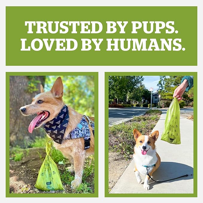 Pogi’s Dog Poop Bags with Handles – Extra-Thick, Leak-Proof, Large, Unscented, 900-Count