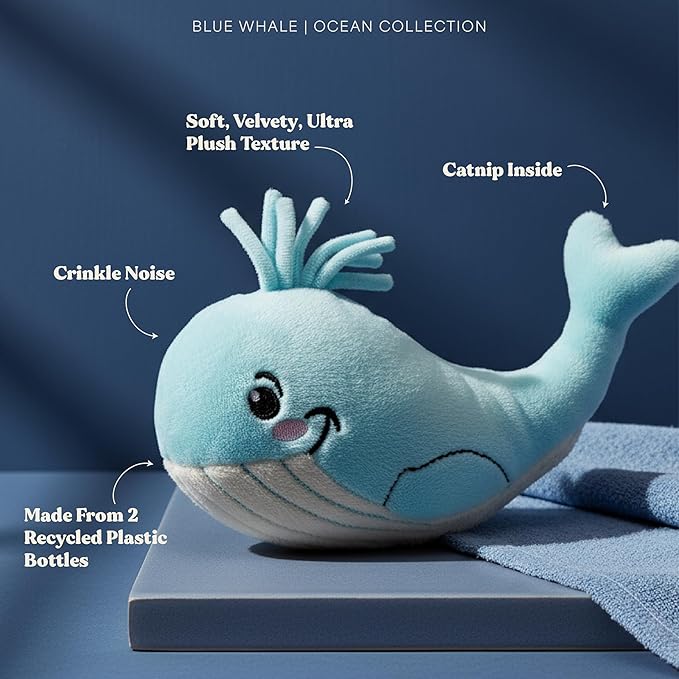 Cat Toys | Plush Whale Cat Toy for Indoor Cats | Eco Friendly Toy Made from Non Toxic Materials