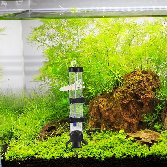 Brine Shrimp Hatchery Kit with Air Pump and Storage Bottle Aquarium Incubator for Fish Breeding and Shrimp Hatching
