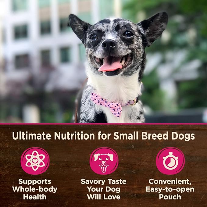 Wellness CORE Small Breed Mini Meals Chunky Variety Pack Adult Wet Dog Food, Grain Free, Natural, 3 oz, Pack of 12