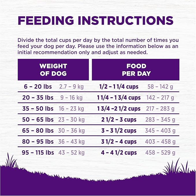 Wellness Complete Health Age Advantage Senior Dry Dog Food, Wholesome Grain Kibble, Natural, Chicken and Barley Recipe, 15 lb Bag